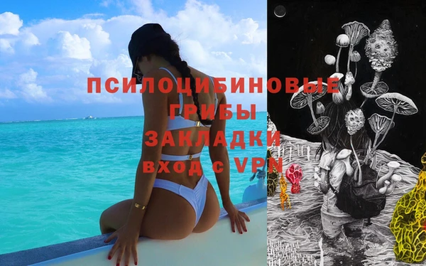 спайс Абаза