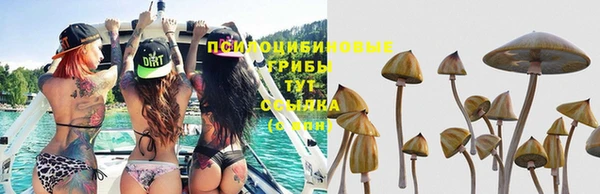 наркотики Абинск