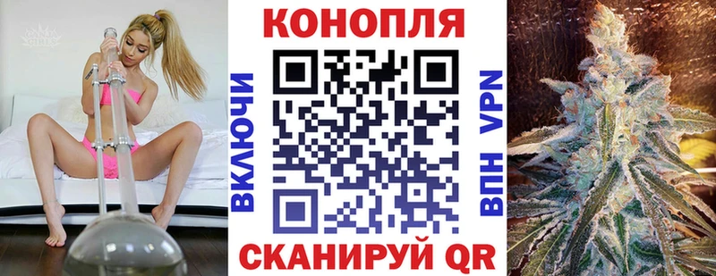 Бошки марихуана планчик  как найти закладки  Шимановск 